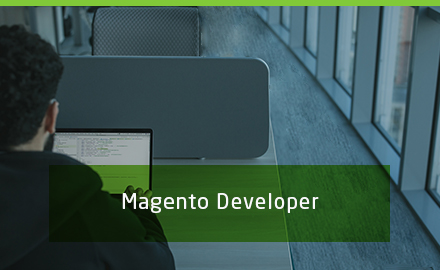 Magento Developer