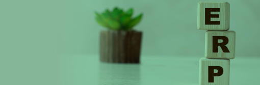 https://chudovo.de/wp-content/uploads/2023/09/ERP-Systems-.jpg 