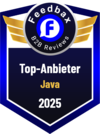 Beste Java Agentur 2025