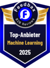Beste Machine Learning Agentur 2025